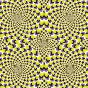 The Brain's Role in Optical Illusions