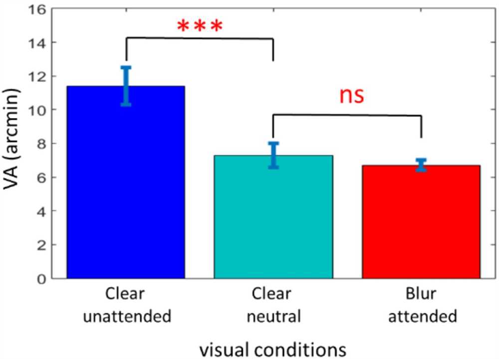 The Impact of Visual Blur on Mental Focus and Attention
