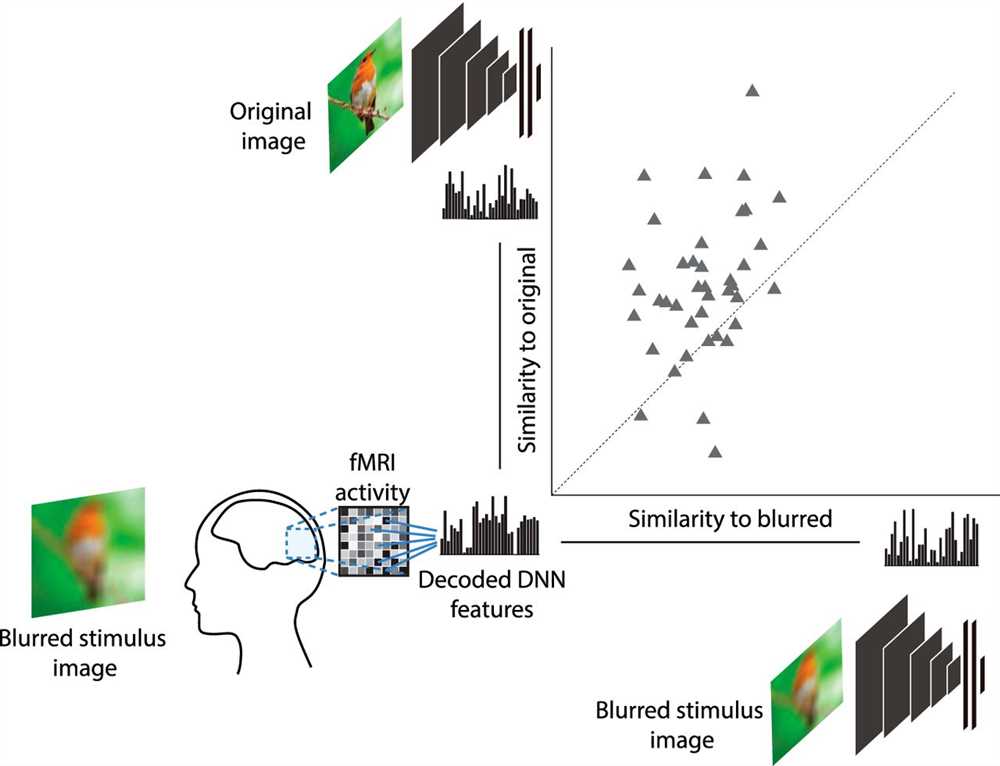 Blurring's Effects on Attention and Focus