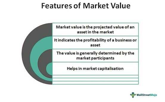 Importance of Market Capitalization